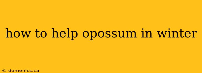 how to help opossum in winter