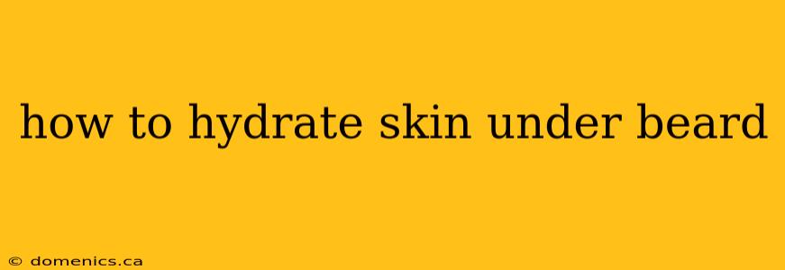 how to hydrate skin under beard