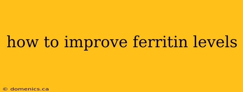 how to improve ferritin levels