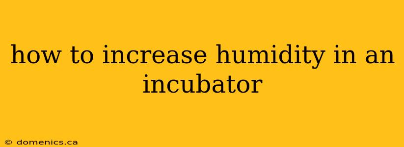 how to increase humidity in an incubator