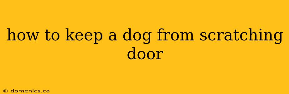 how to keep a dog from scratching door