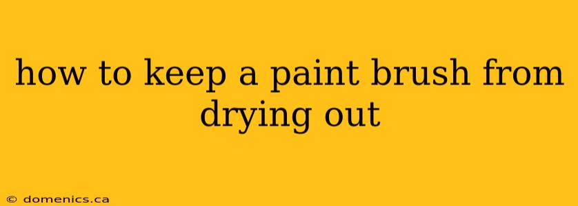 how to keep a paint brush from drying out