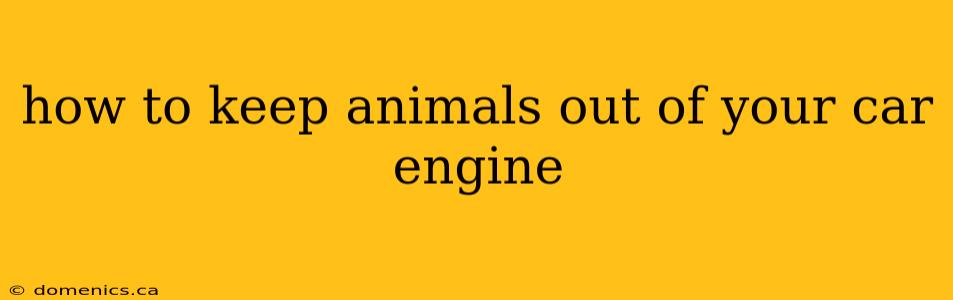 how to keep animals out of your car engine