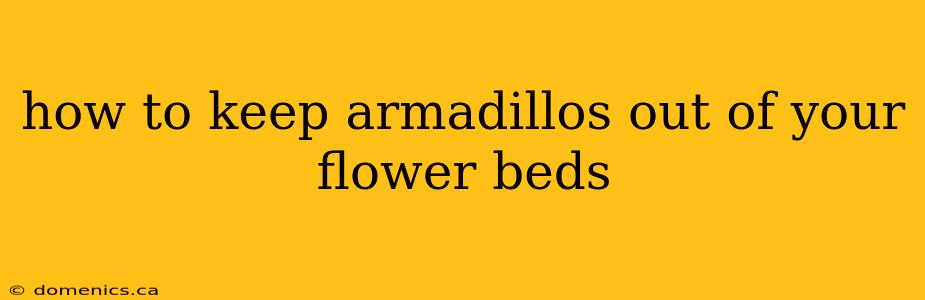 how to keep armadillos out of your flower beds