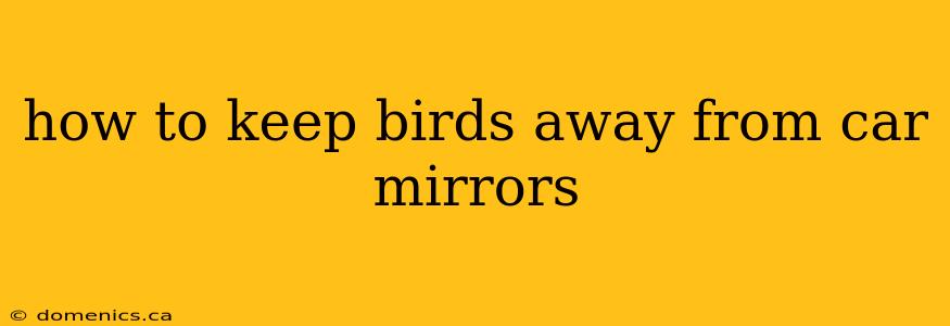 how to keep birds away from car mirrors