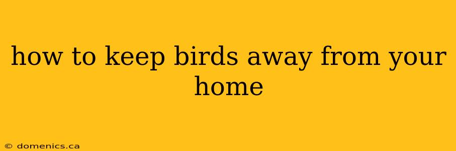 how to keep birds away from your home