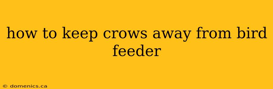 how to keep crows away from bird feeder