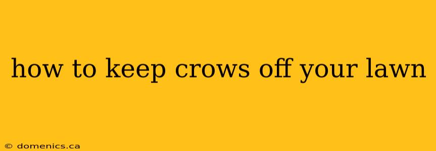 how to keep crows off your lawn