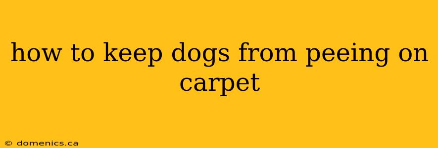 how to keep dogs from peeing on carpet