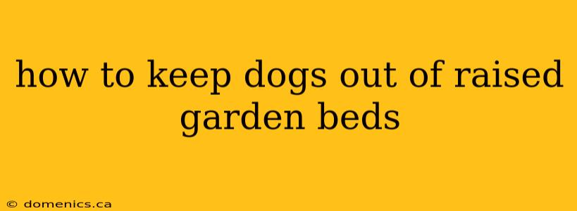 how to keep dogs out of raised garden beds