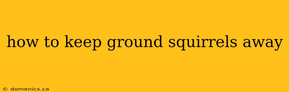 how to keep ground squirrels away