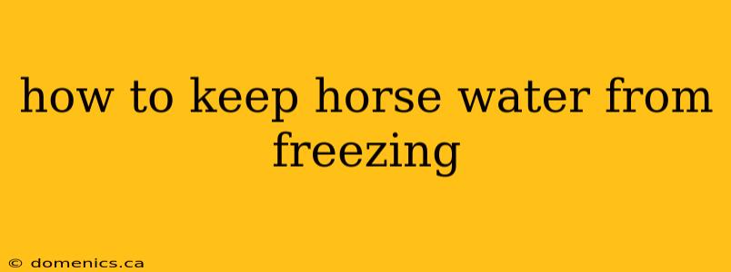 how to keep horse water from freezing