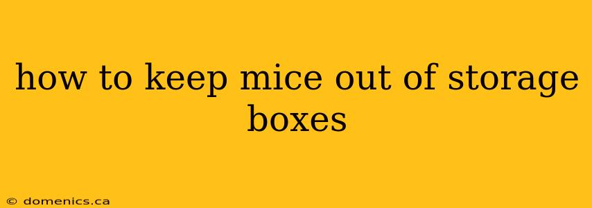 how to keep mice out of storage boxes