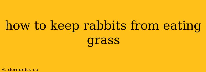 how to keep rabbits from eating grass