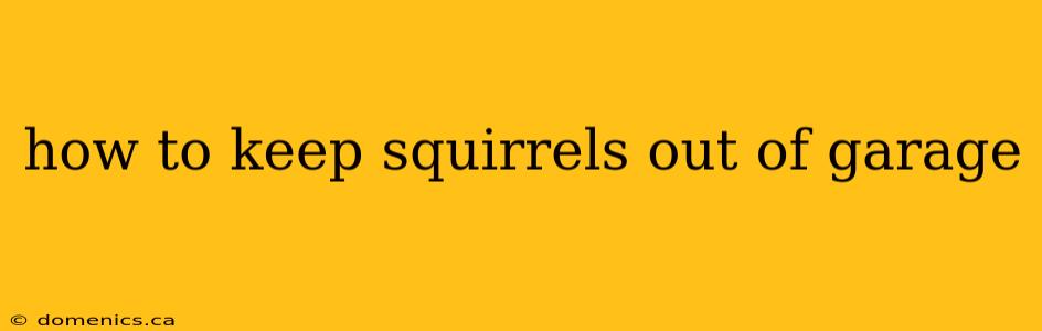 how to keep squirrels out of garage