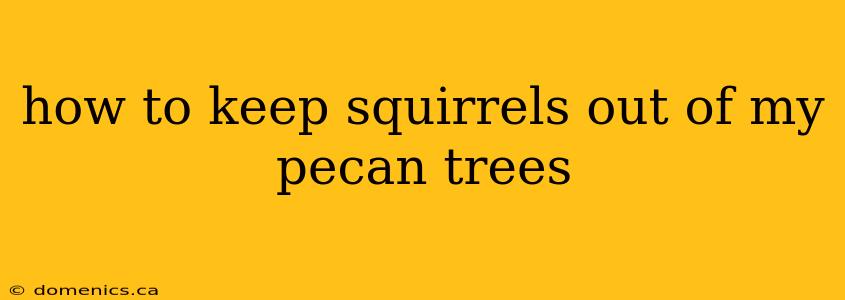 how to keep squirrels out of my pecan trees