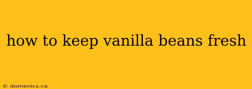 how to keep vanilla beans fresh