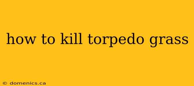 how to kill torpedo grass