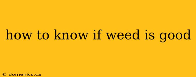 how to know if weed is good