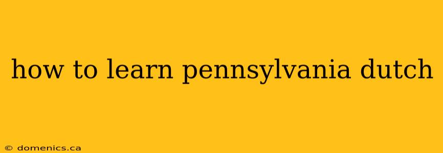 how to learn pennsylvania dutch