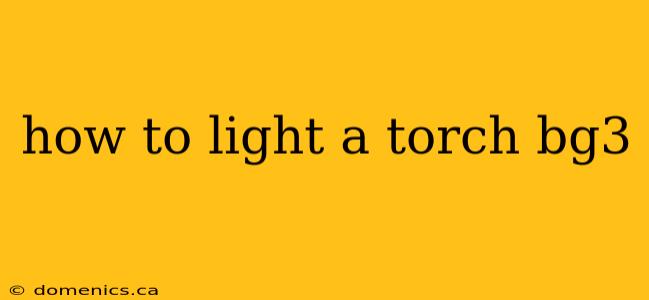 how to light a torch bg3