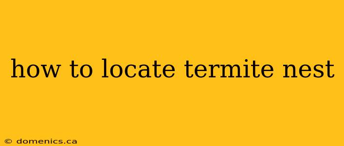 how to locate termite nest