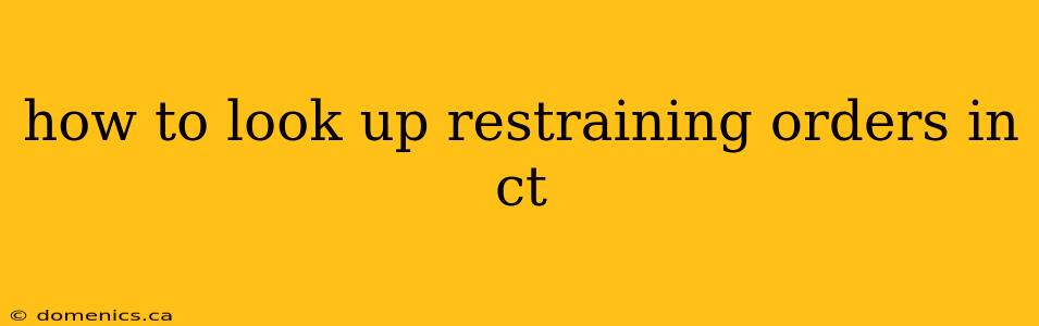 how to look up restraining orders in ct