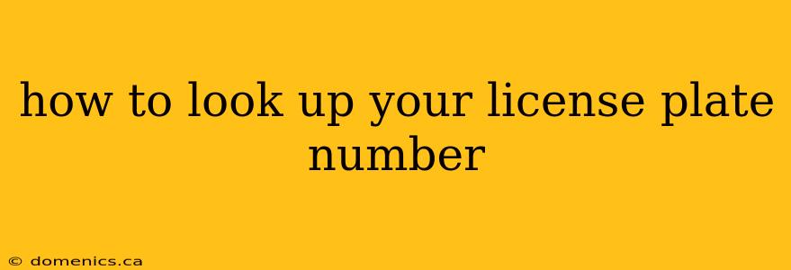 how to look up your license plate number