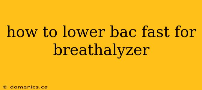 how to lower bac fast for breathalyzer