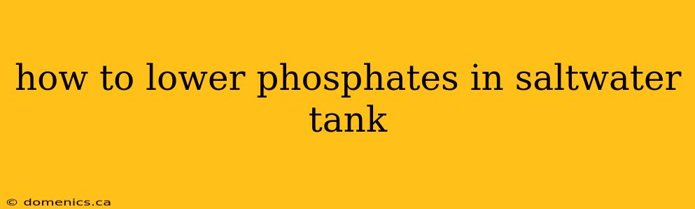 how to lower phosphates in saltwater tank