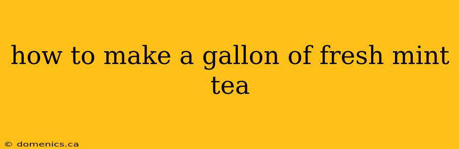 how to make a gallon of fresh mint tea