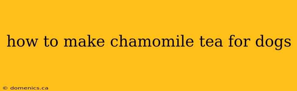 how to make chamomile tea for dogs