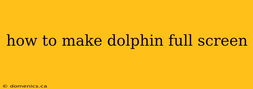 how to make dolphin full screen