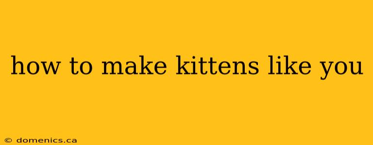 how to make kittens like you