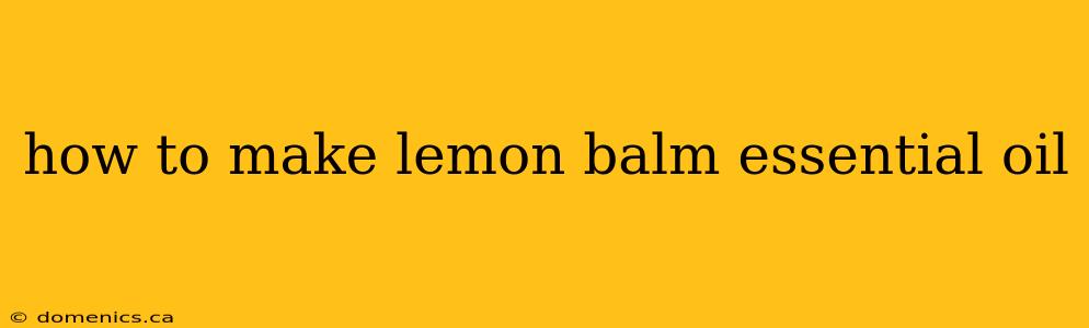 how to make lemon balm essential oil