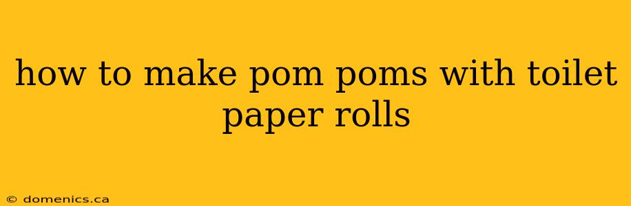 how to make pom poms with toilet paper rolls