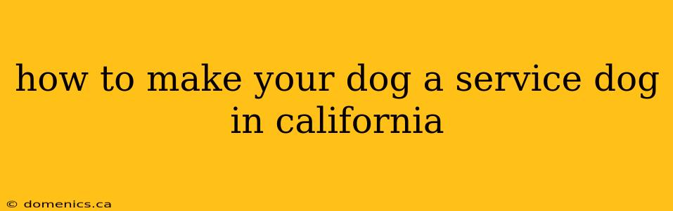 how to make your dog a service dog in california