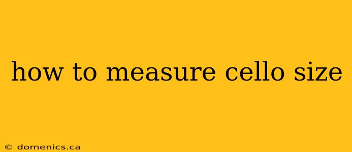 how to measure cello size