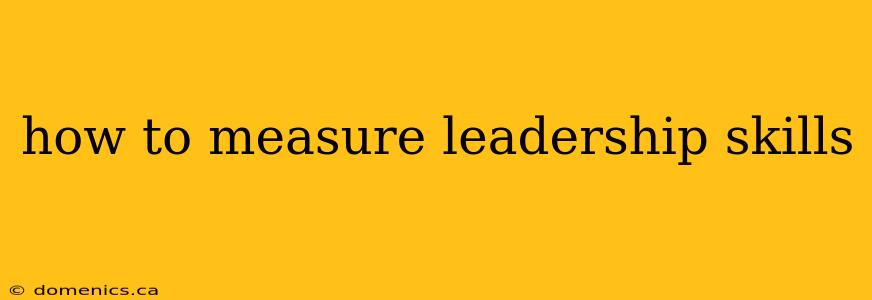 how to measure leadership skills