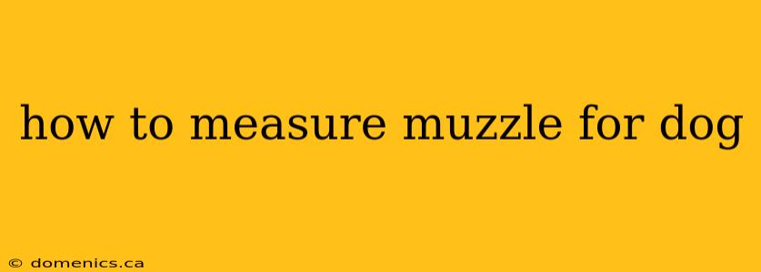 how to measure muzzle for dog