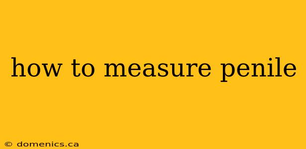 how to measure penile