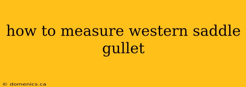 how to measure western saddle gullet