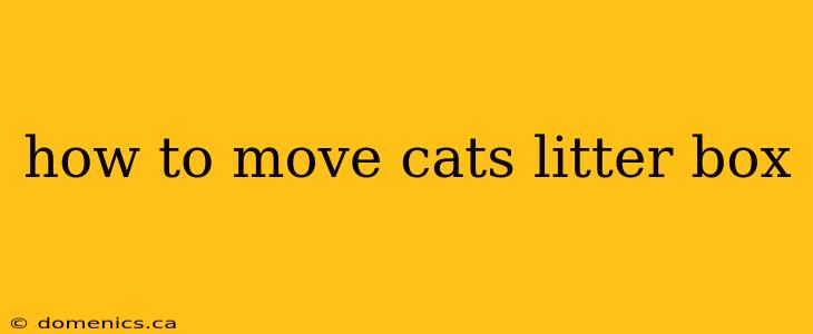 how to move cats litter box