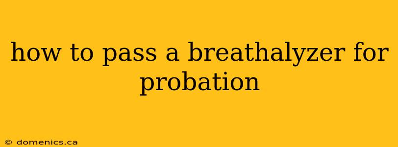 how to pass a breathalyzer for probation