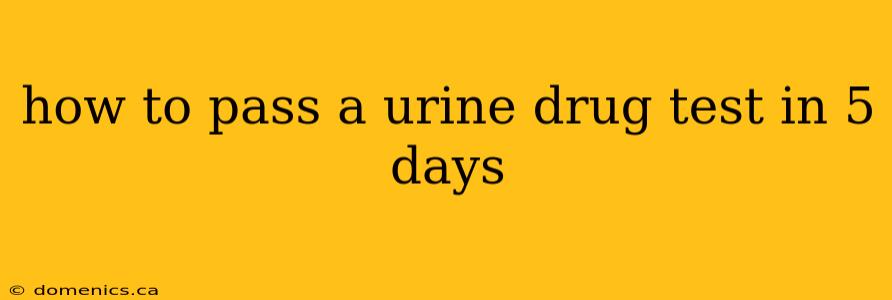 how to pass a urine drug test in 5 days