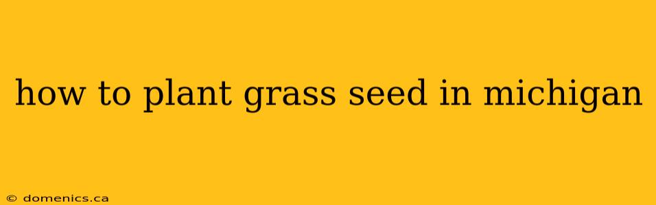 how to plant grass seed in michigan