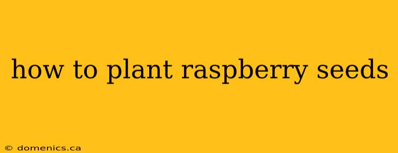 how to plant raspberry seeds