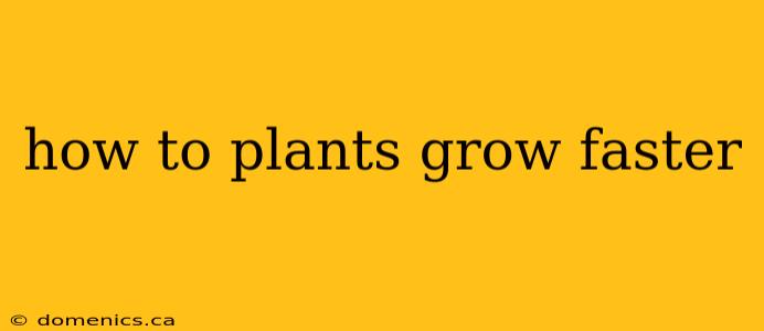 how to plants grow faster