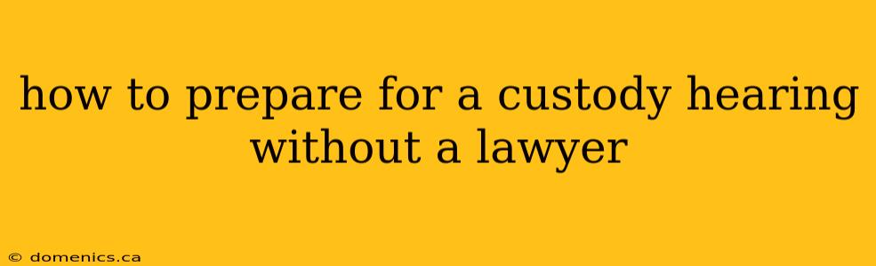 how to prepare for a custody hearing without a lawyer