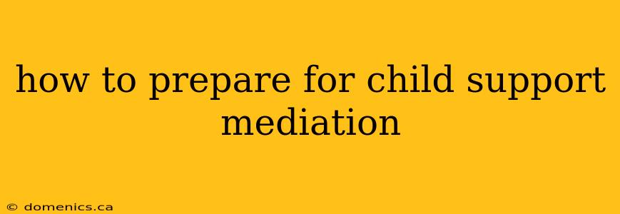 how to prepare for child support mediation